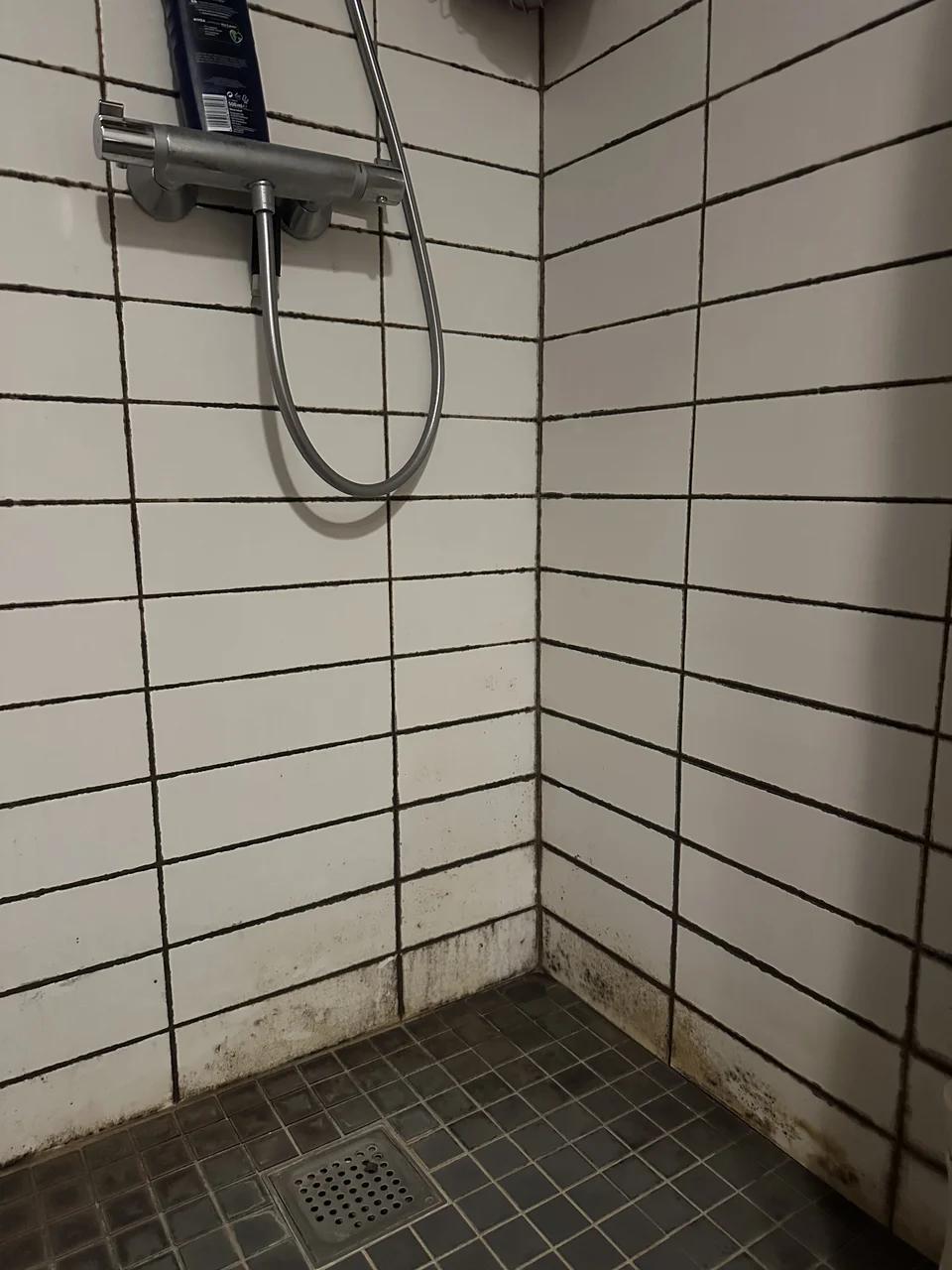 Shower detail cleaning, Før