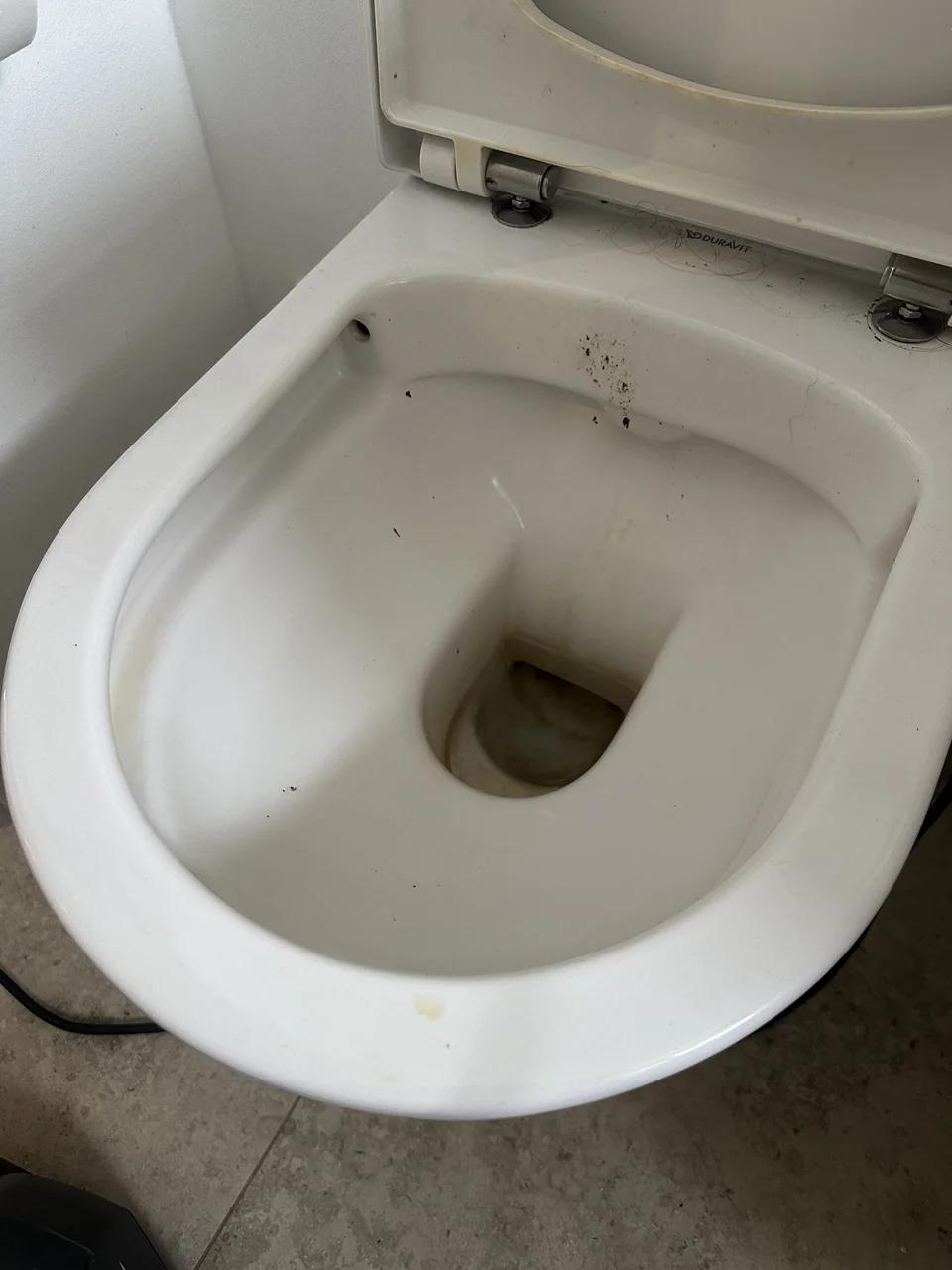 Toilet Bowl Cleaning, Før