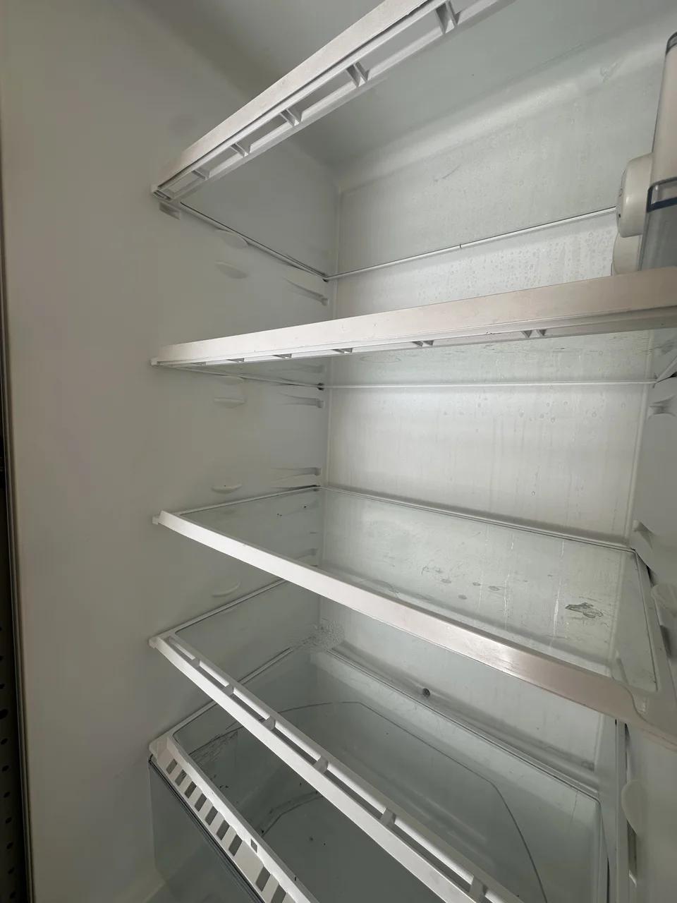 Refrigerator cleaning, Før
