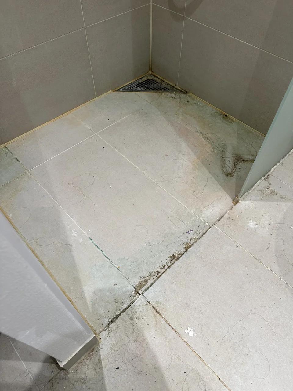 Bathroom Deep Cleaning, Før