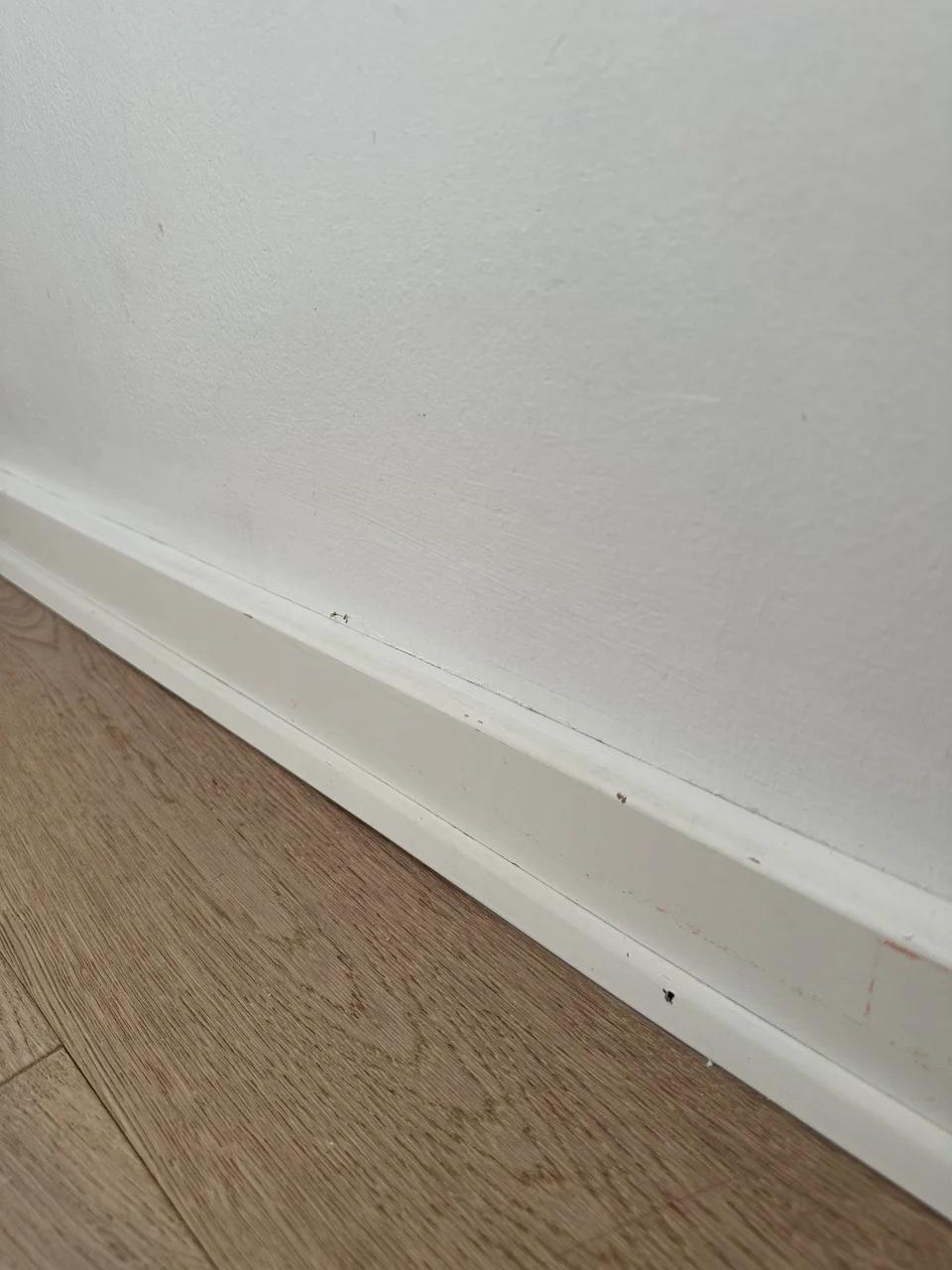 Baseboard mold removal, Efter
