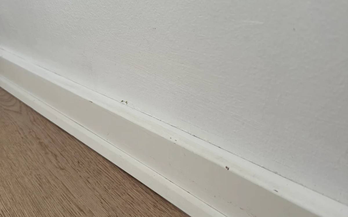 Baseboard mold removal, Efter