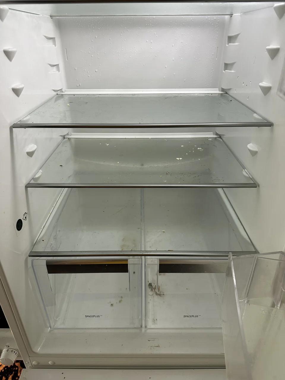 Refrigerator cleaning, Før