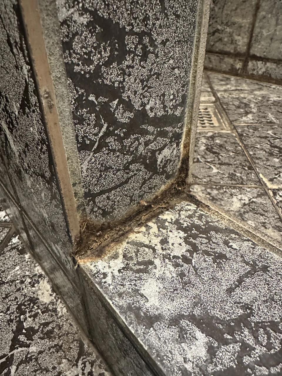 Tile edge cleaning, Før