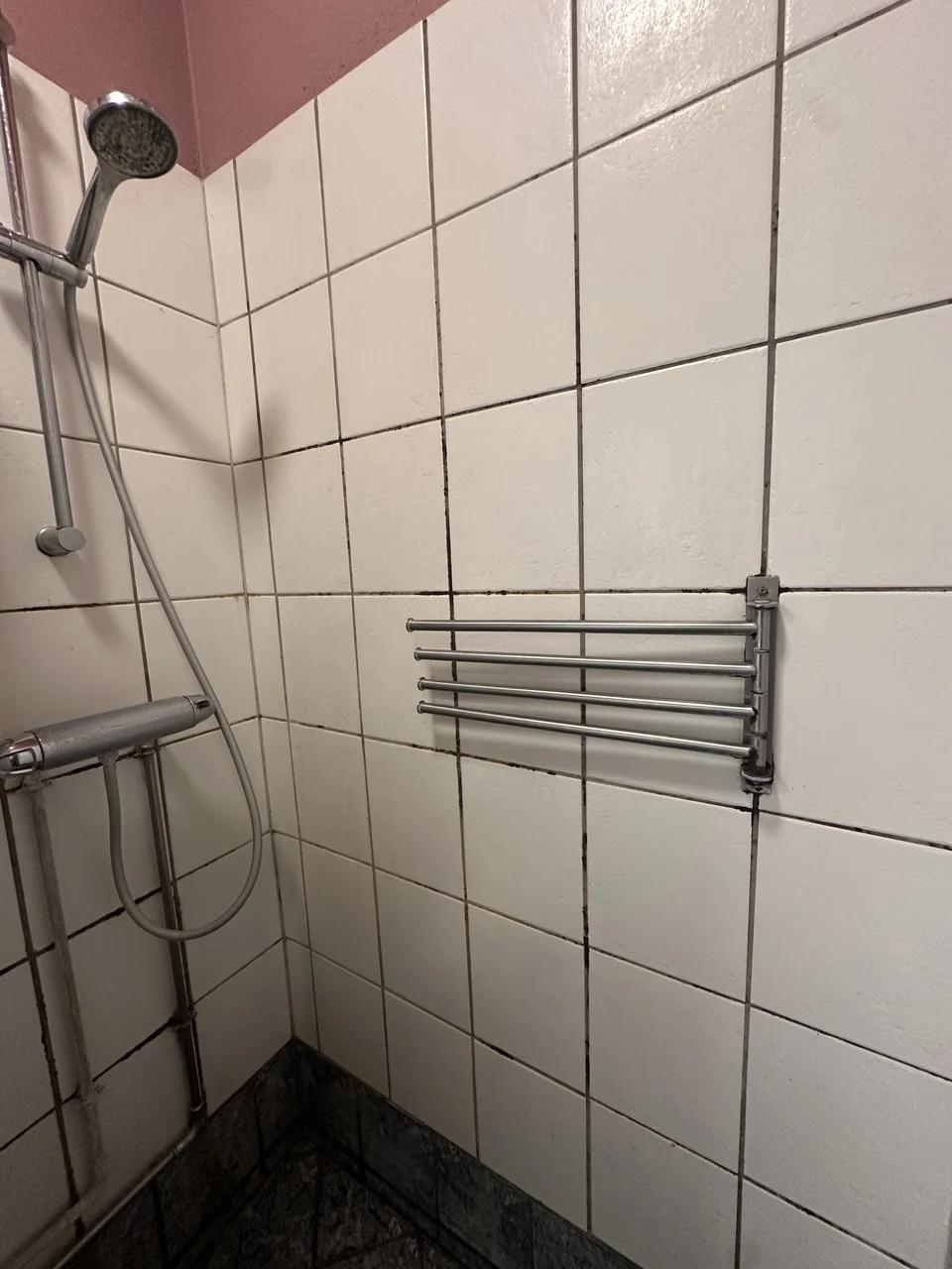 Bathroom Deep Cleaning, Før