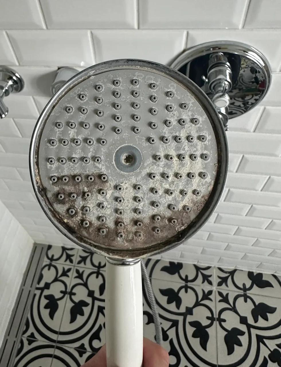 Shower head descaling, Før