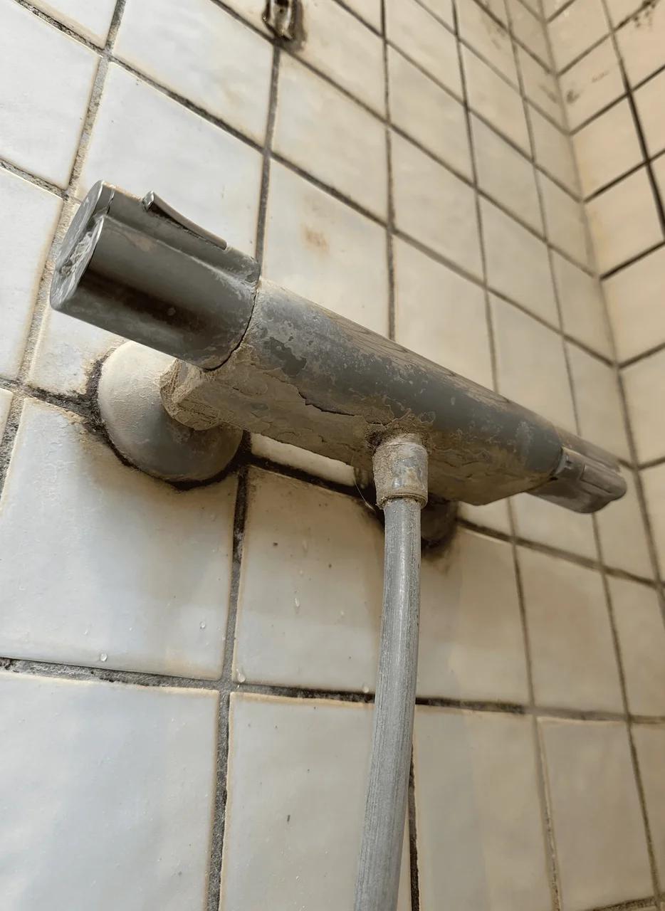 Shower faucet descaling, Før