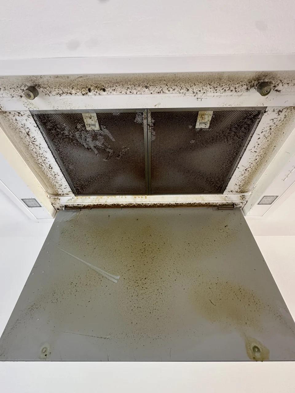 Range hood cleaning, Før