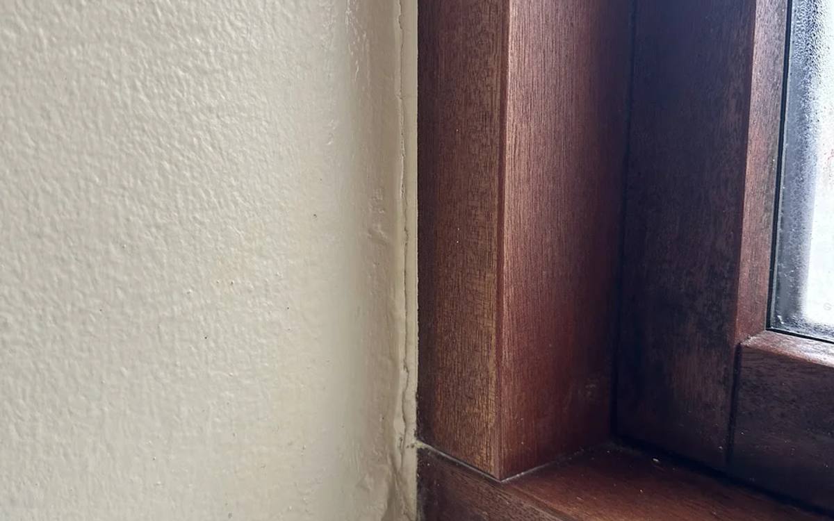 Wall mold removal , Efter