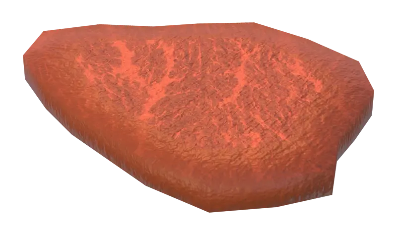 A rare slice of picanha