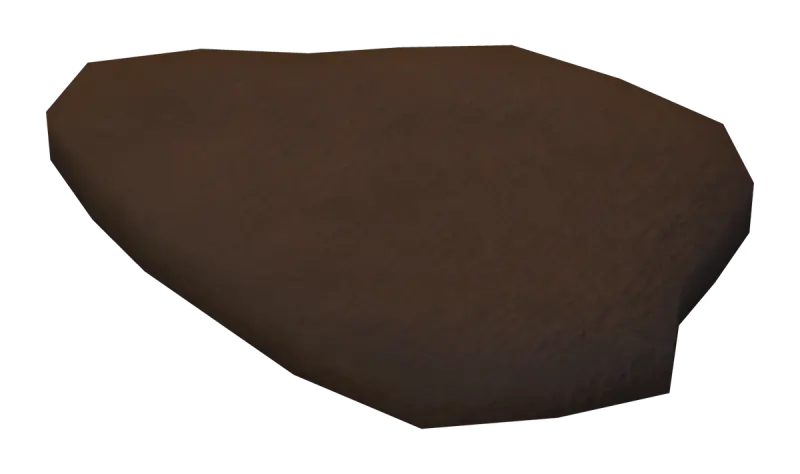 A burnt slice of picanha