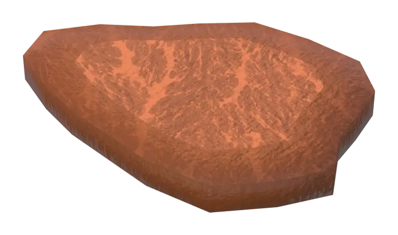 A medium slice of picanha