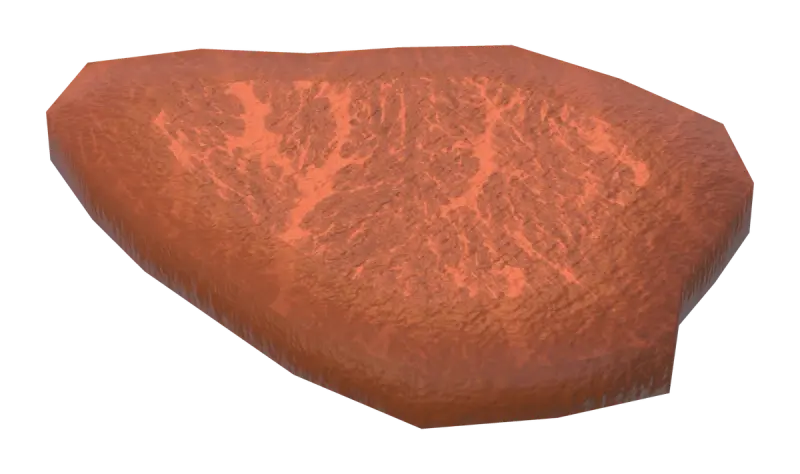 A medium-rare slice of picanha