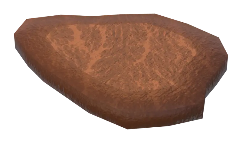 A well-done slice of picanha
