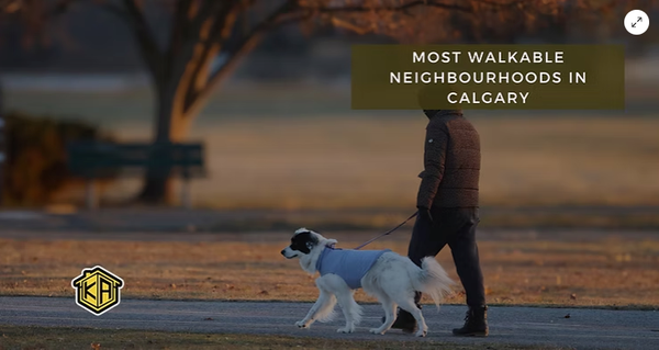 The 11 Most Walkable Neighbourhoods in Calgary