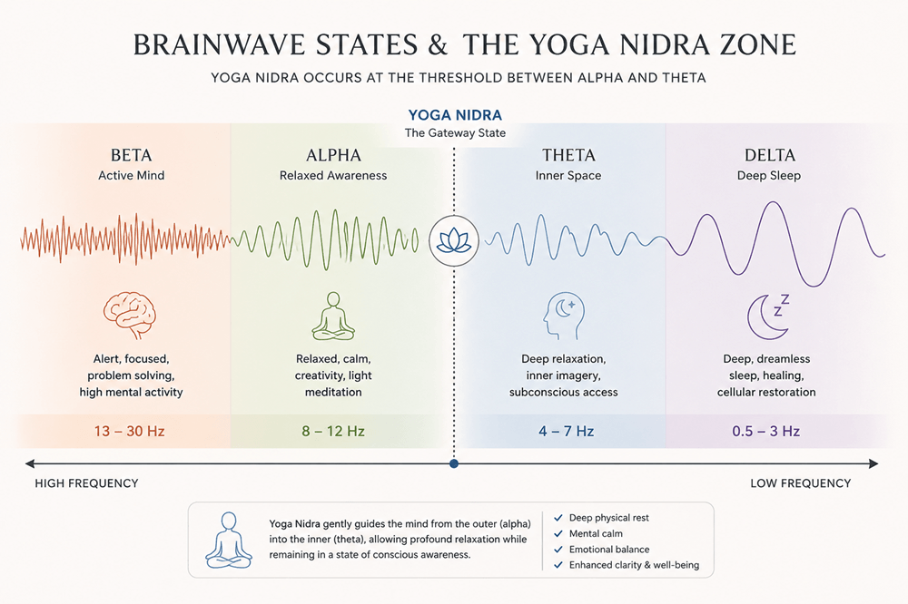 Diagram showing how yoga nidra induces theta brainwave state between waking and sleep
