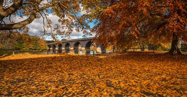 Stone bridge over the River Tyne at Hexham, framed by autumn leaves