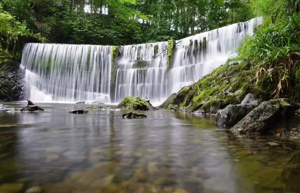 Stock Ghyll Force waterfall cascading through woodland near Ambleside, Cumbria