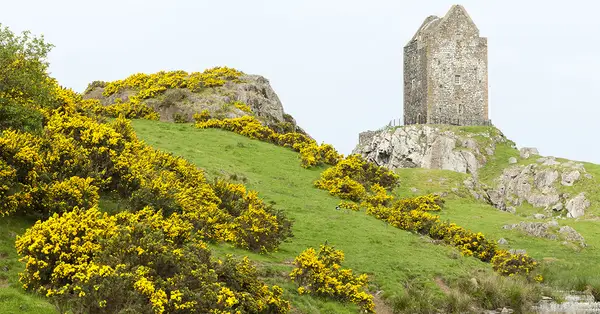 Historic ruins and countryside near Kelso, Scottish Borders