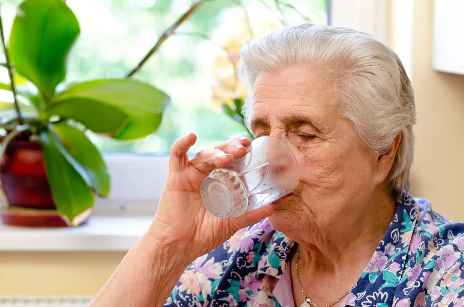 Drinking enough water is a sure way for the elderly to stay hydrated