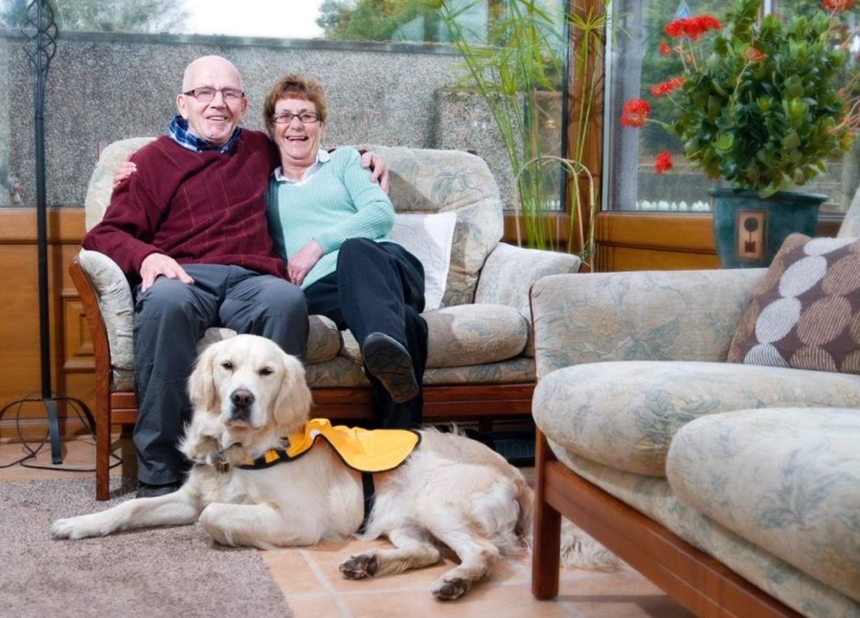 Vonn the Dementia Dog with his new family