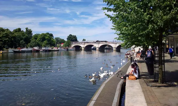 View of the river and Kingston bridge