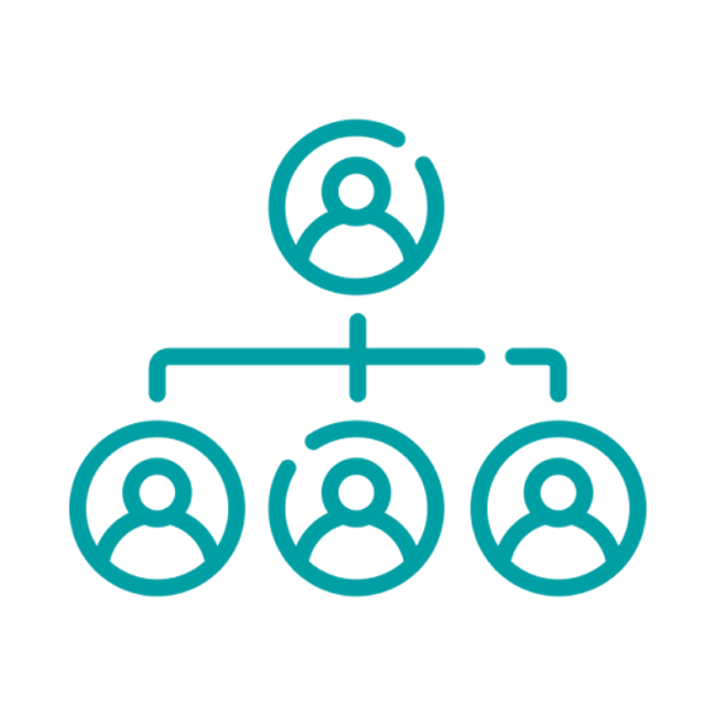 Organization and structure