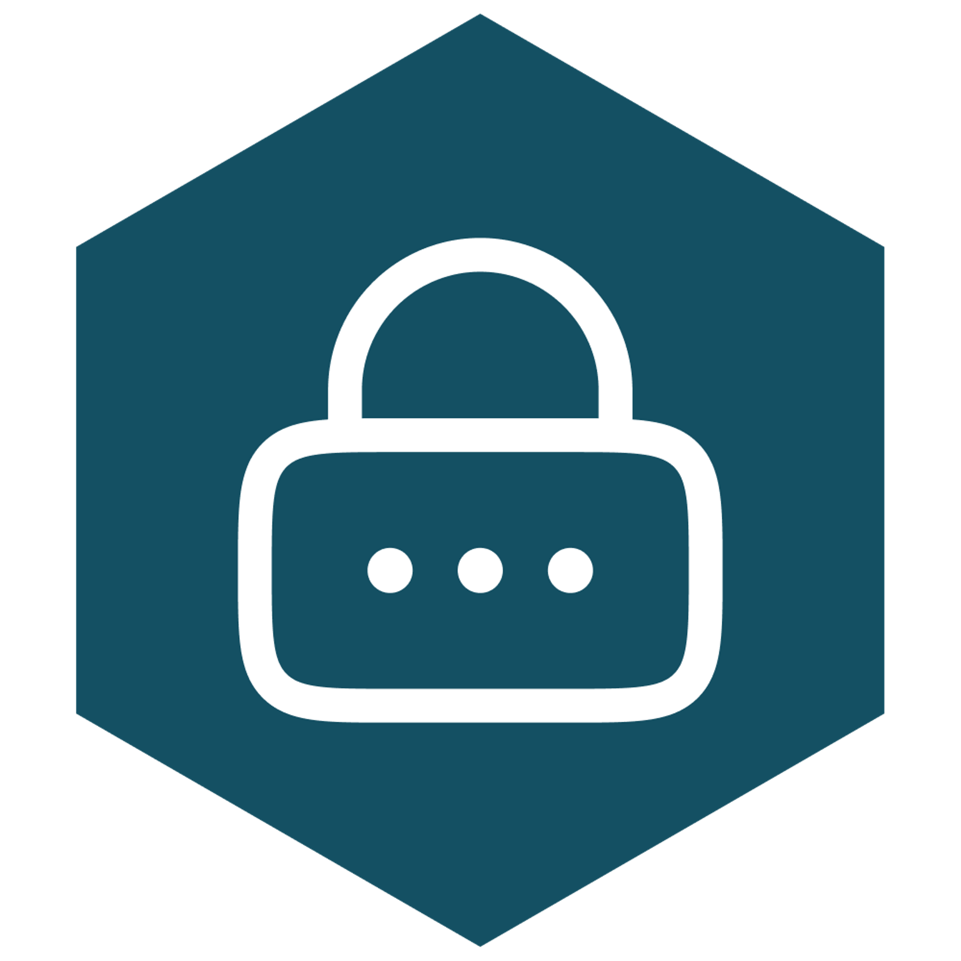 security storage icon