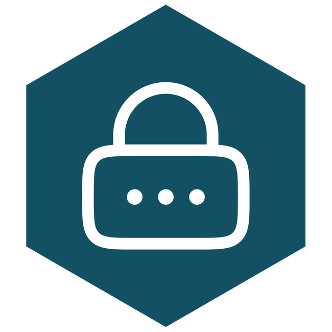 security storage icon