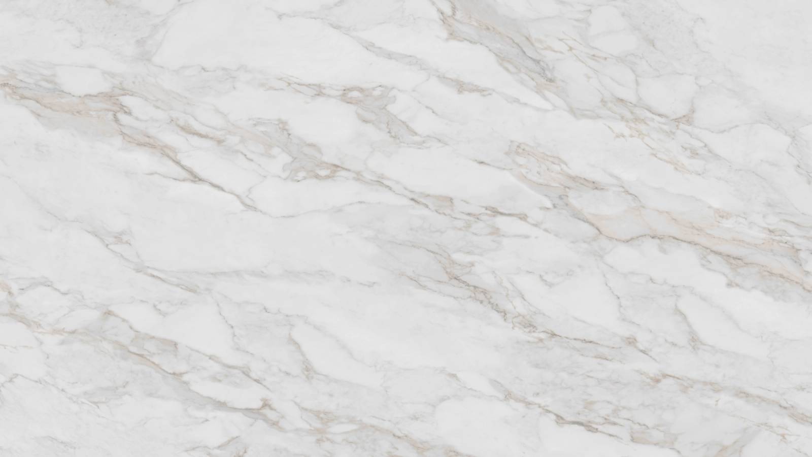 Orenda (P25) — Pacific Surfaces Vision