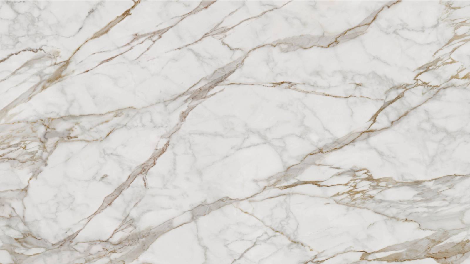 Horizon Veil (P22) — Pacific Surfaces Vision