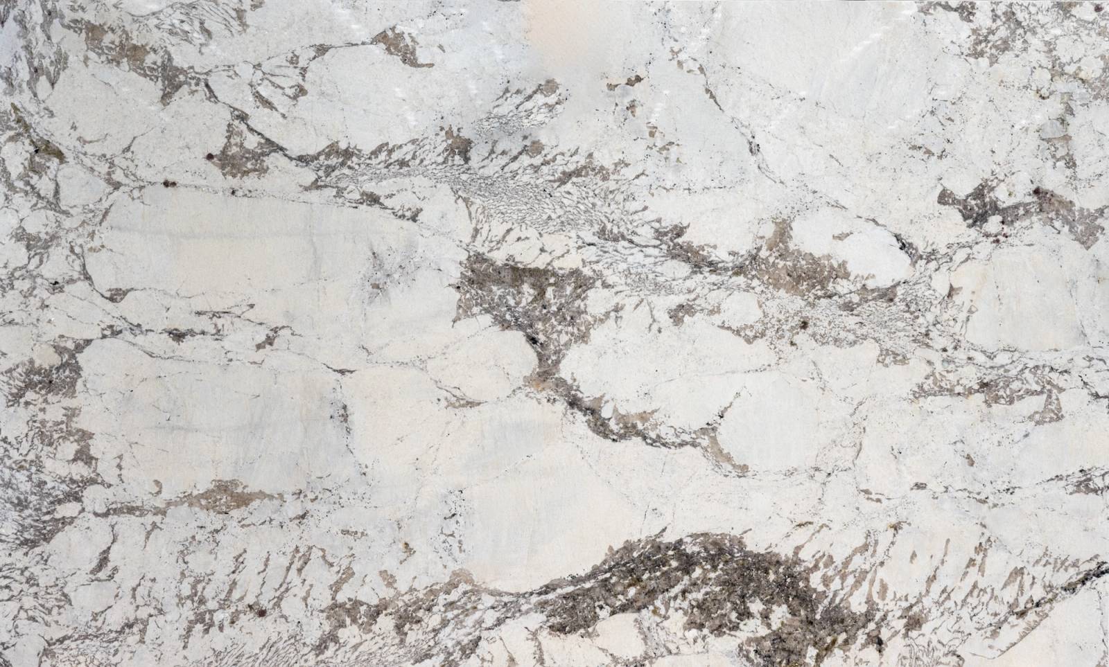 Monalisa — Pacific Surfaces Exotic Collection