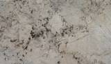 Artic White