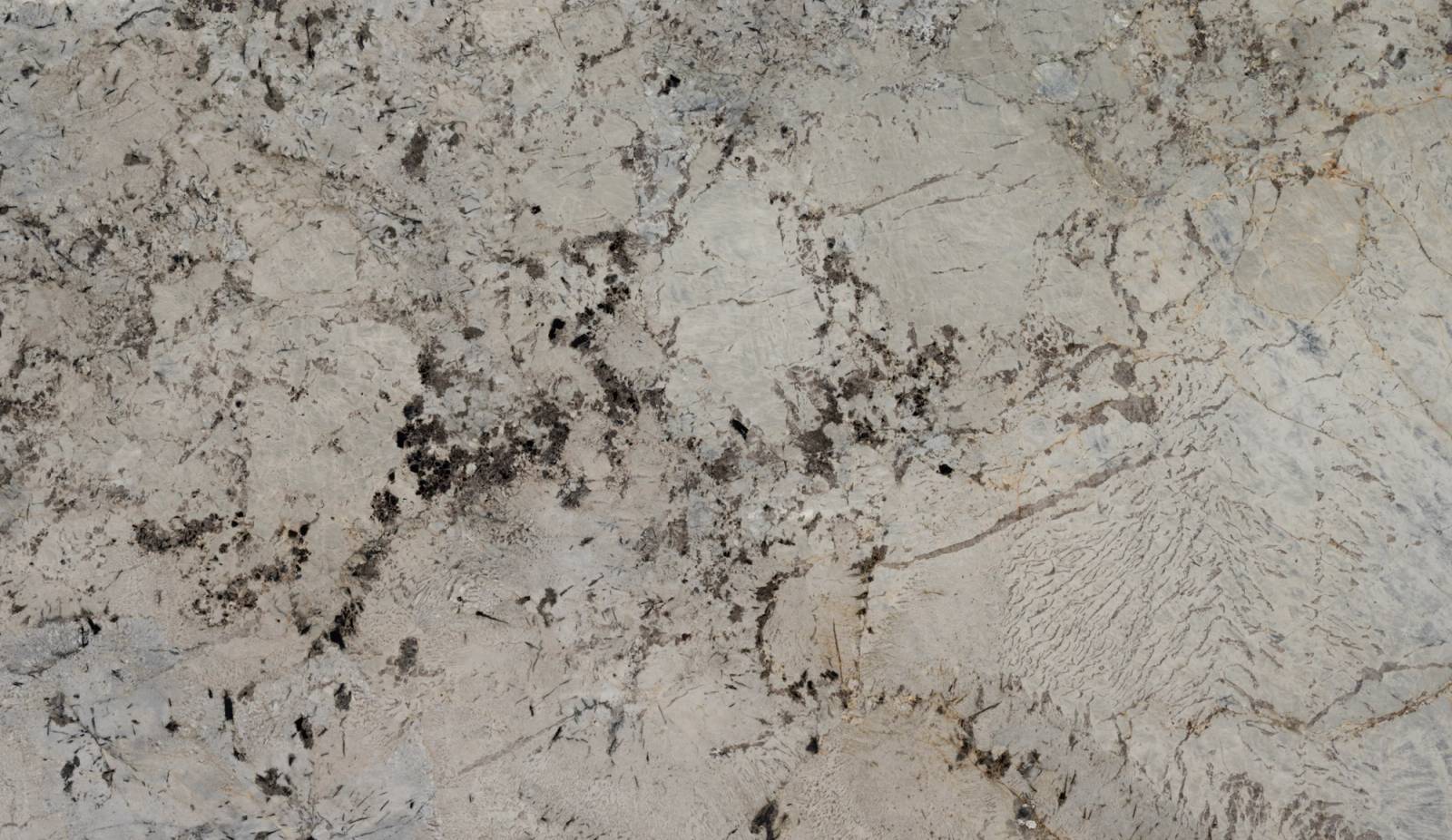 Artic White — Pacific Surfaces Exotic Collection