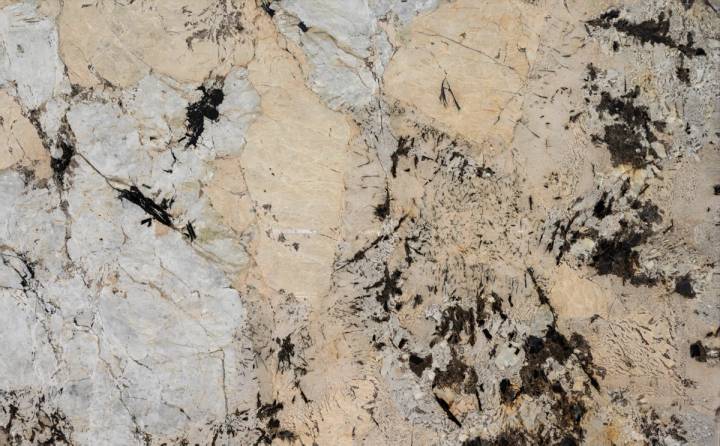 Alpinus White — Exotic Collection slab