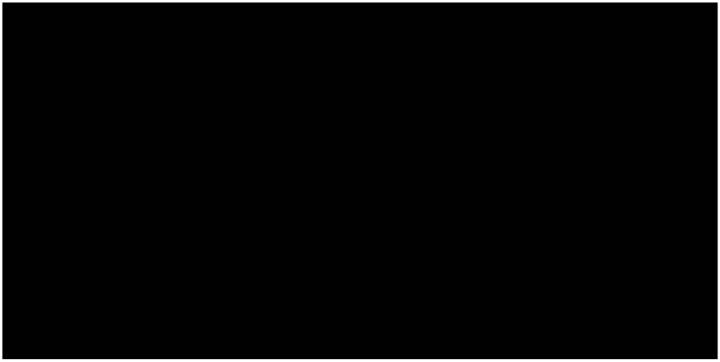 Premium Black — Granite slab