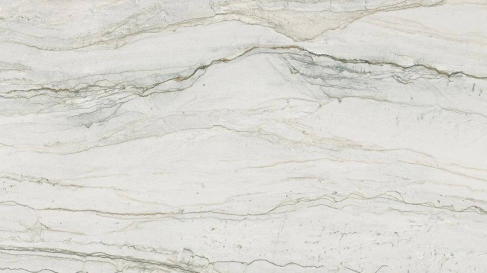Elvion (P04) — Pacific Surfaces Vision