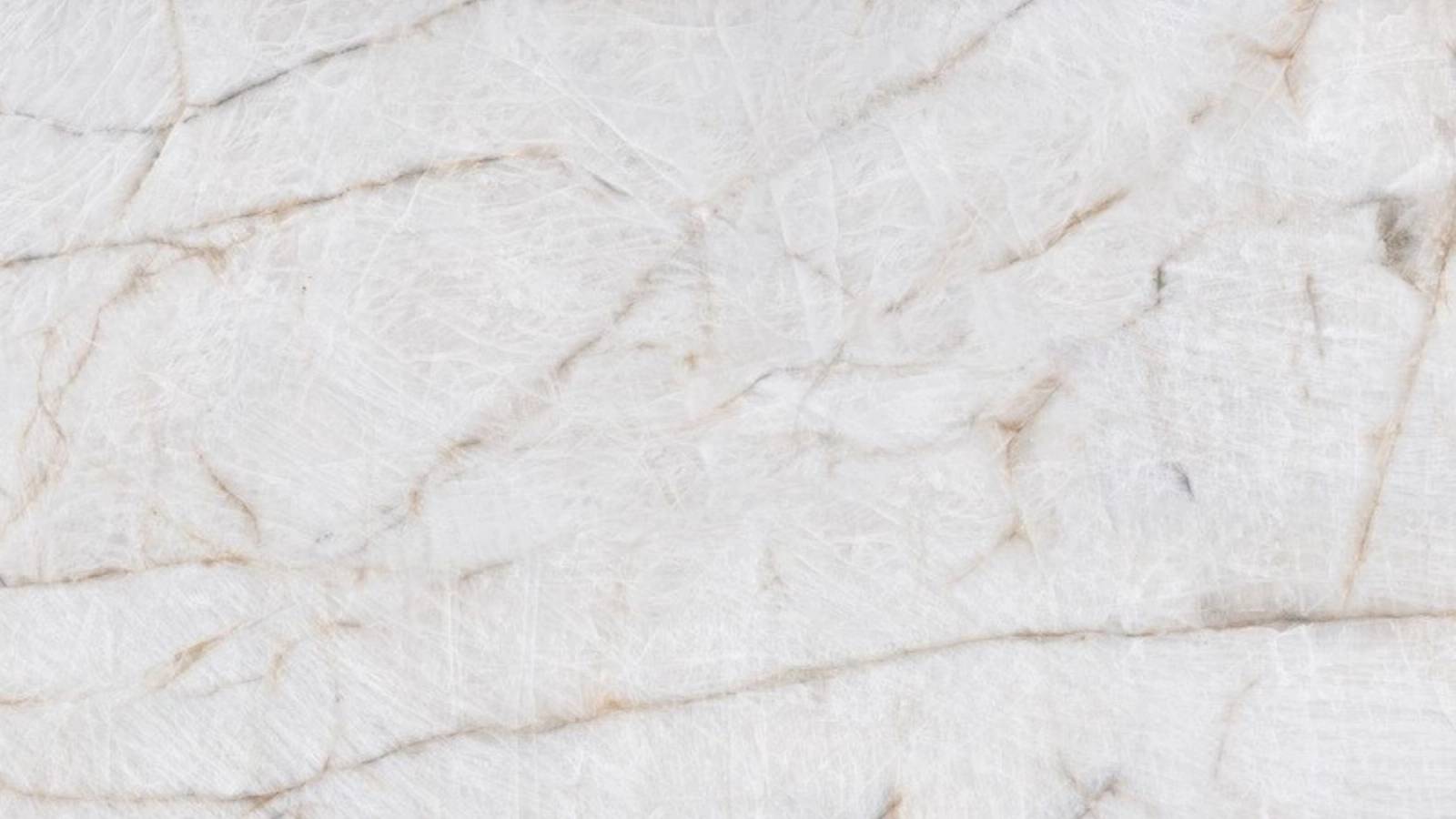 Arlina (P05) — Pacific Surfaces Vision