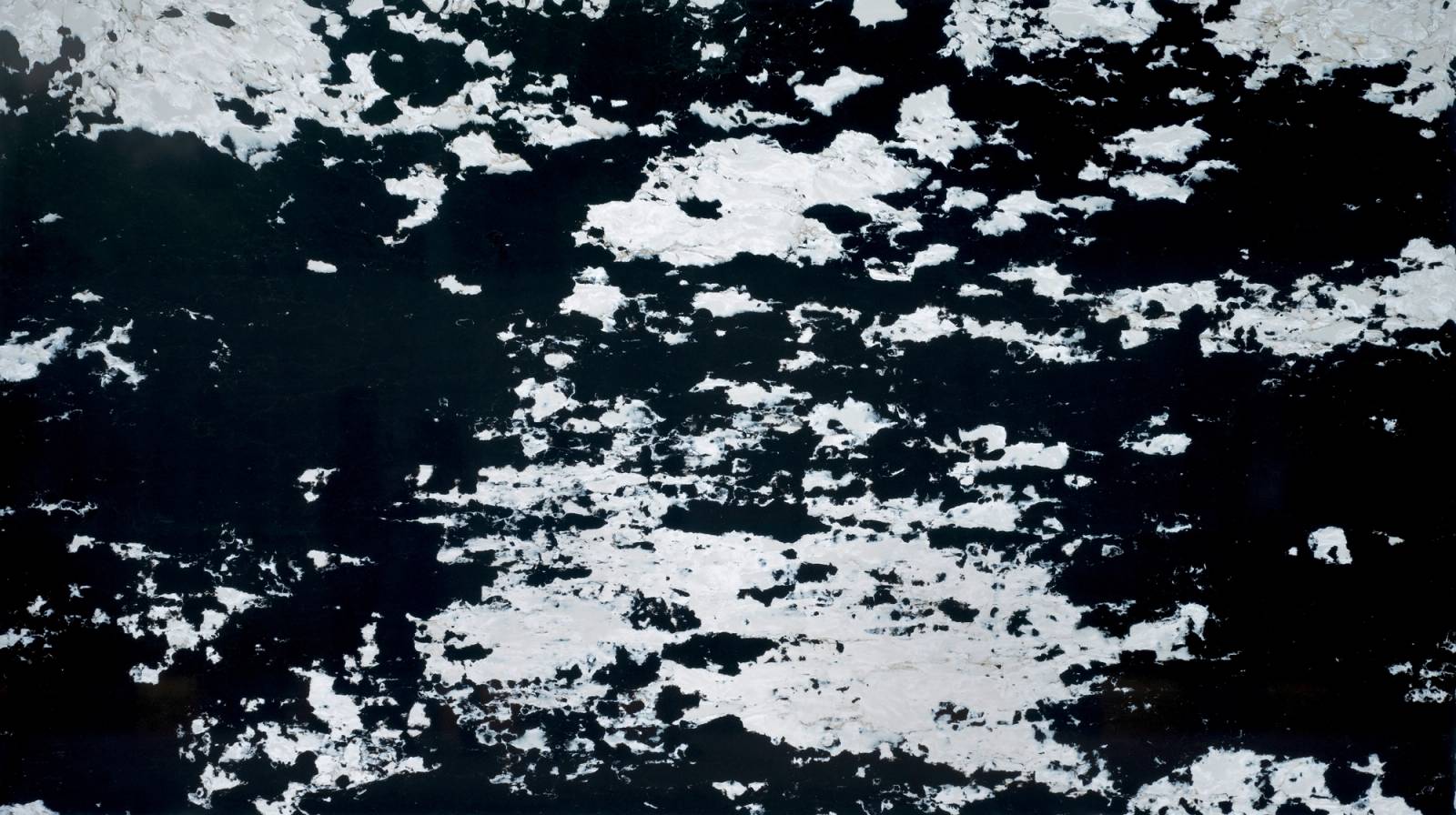 Mockingbird (5050) — Pacific Surfaces Kosmic
