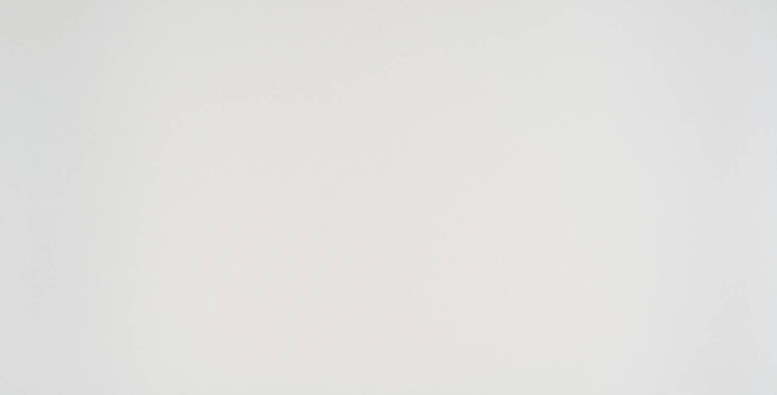 Echo White (1001) — Pacific Surfaces Aurora