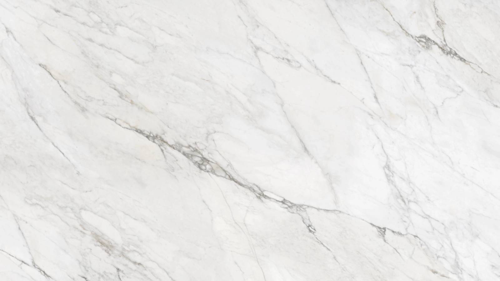 Silverscape (P20) — Pacific Surfaces Vision