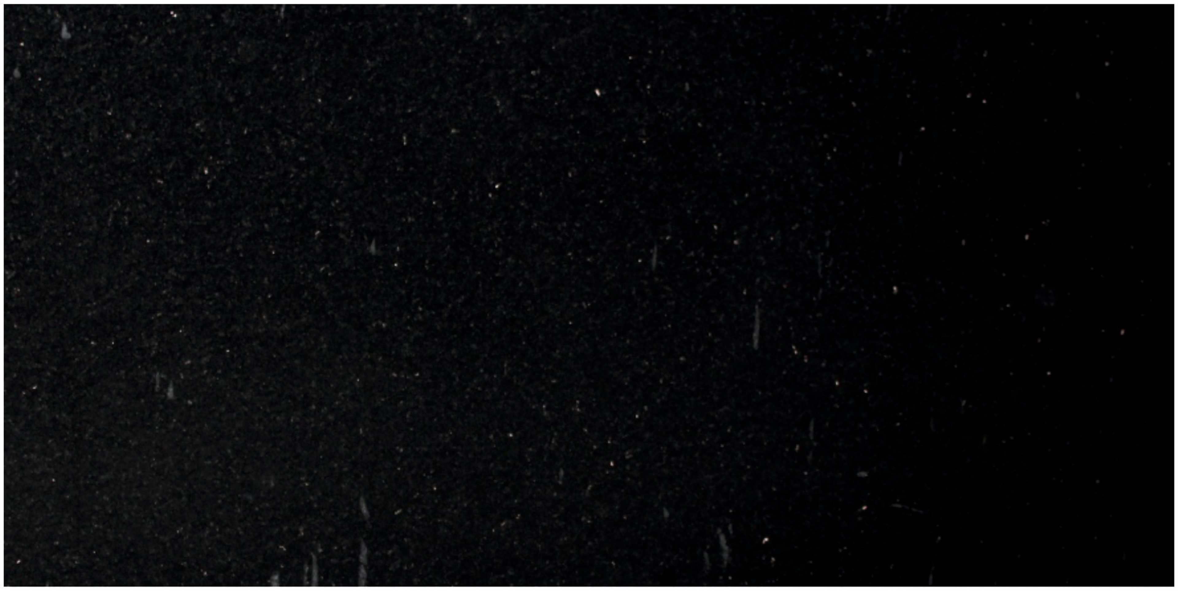Mist Black — Granite slab