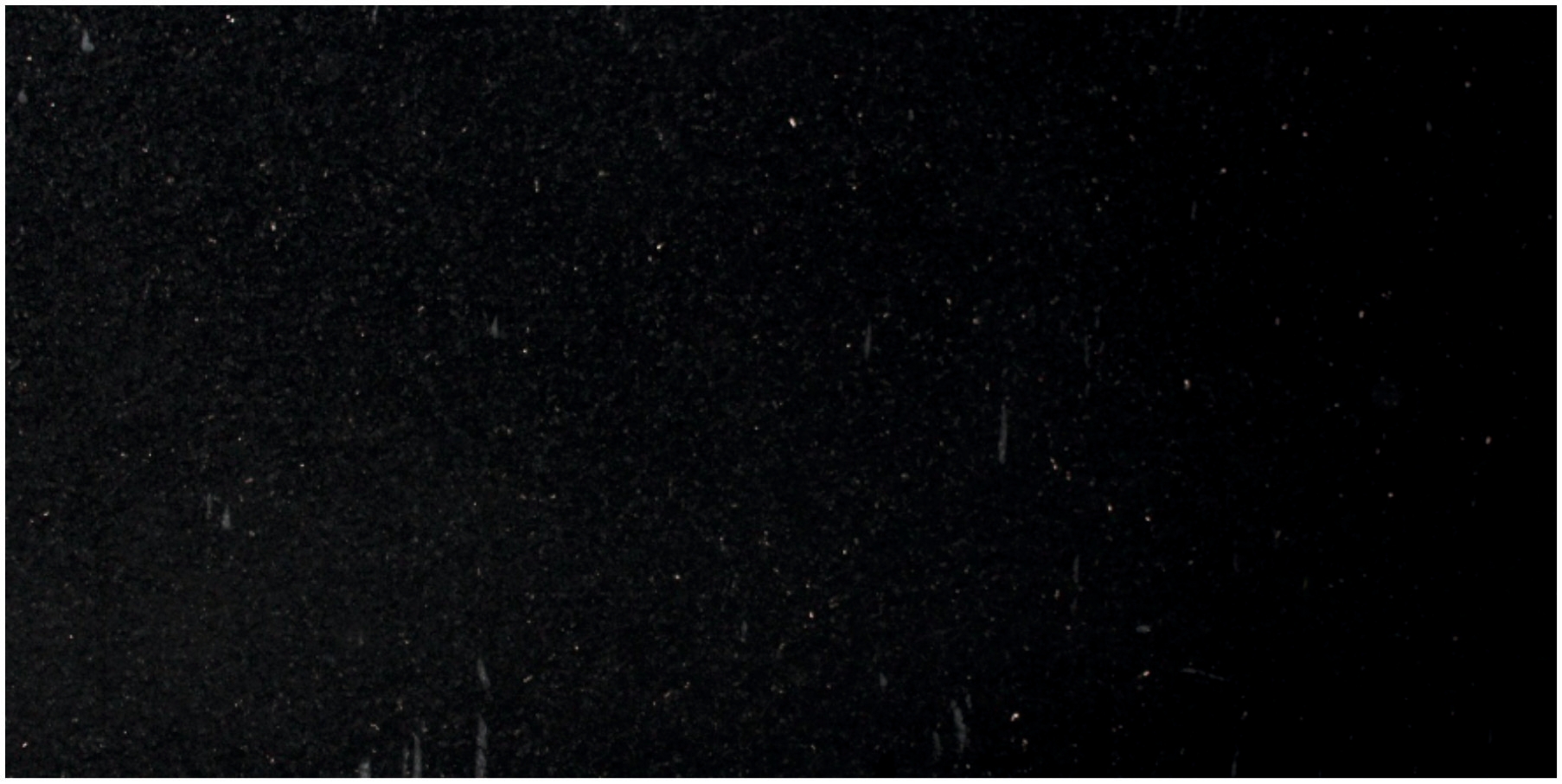 Mist Black — Granite slab