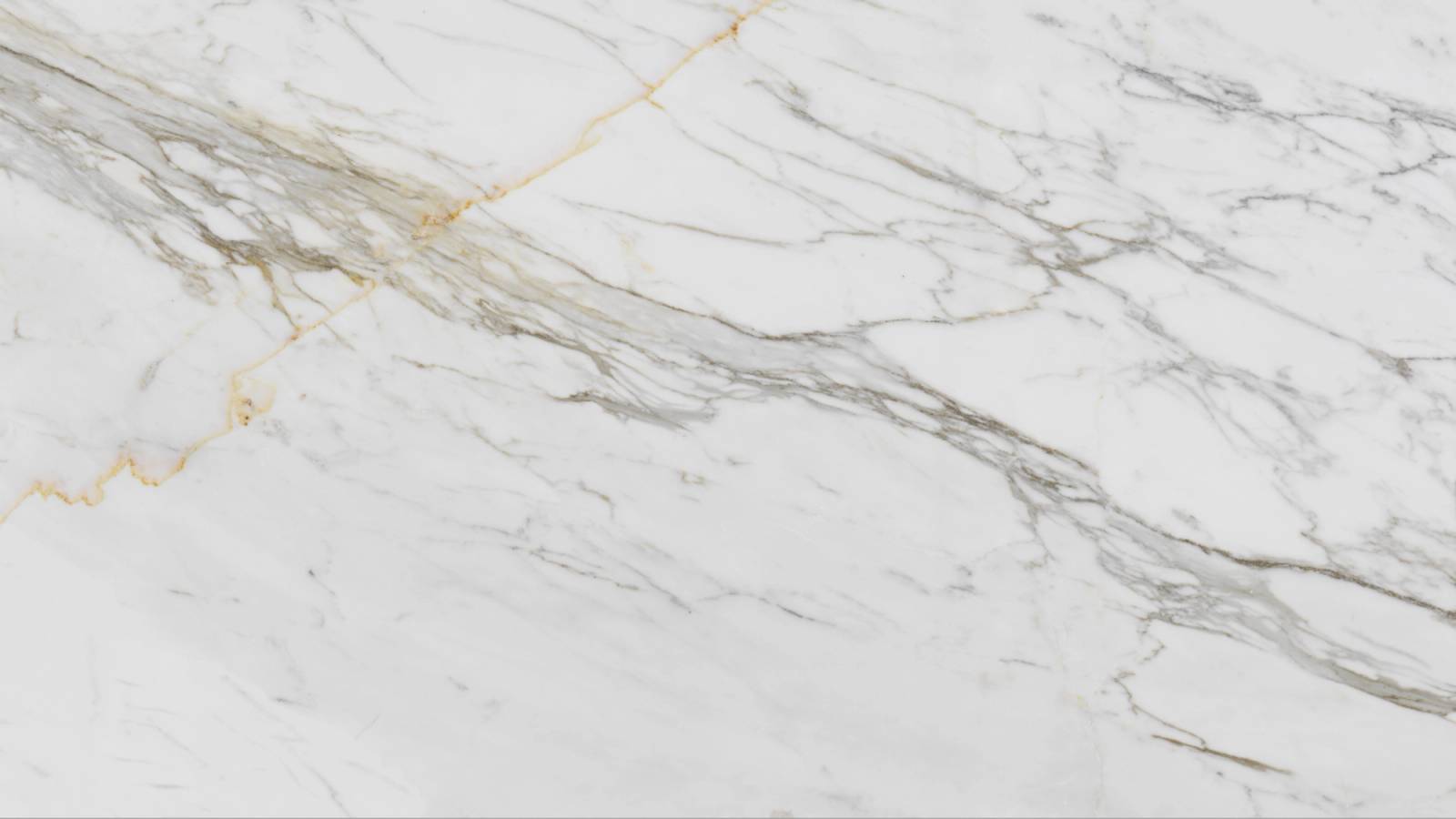 Stone Lily (P13) — Pacific Surfaces Vision