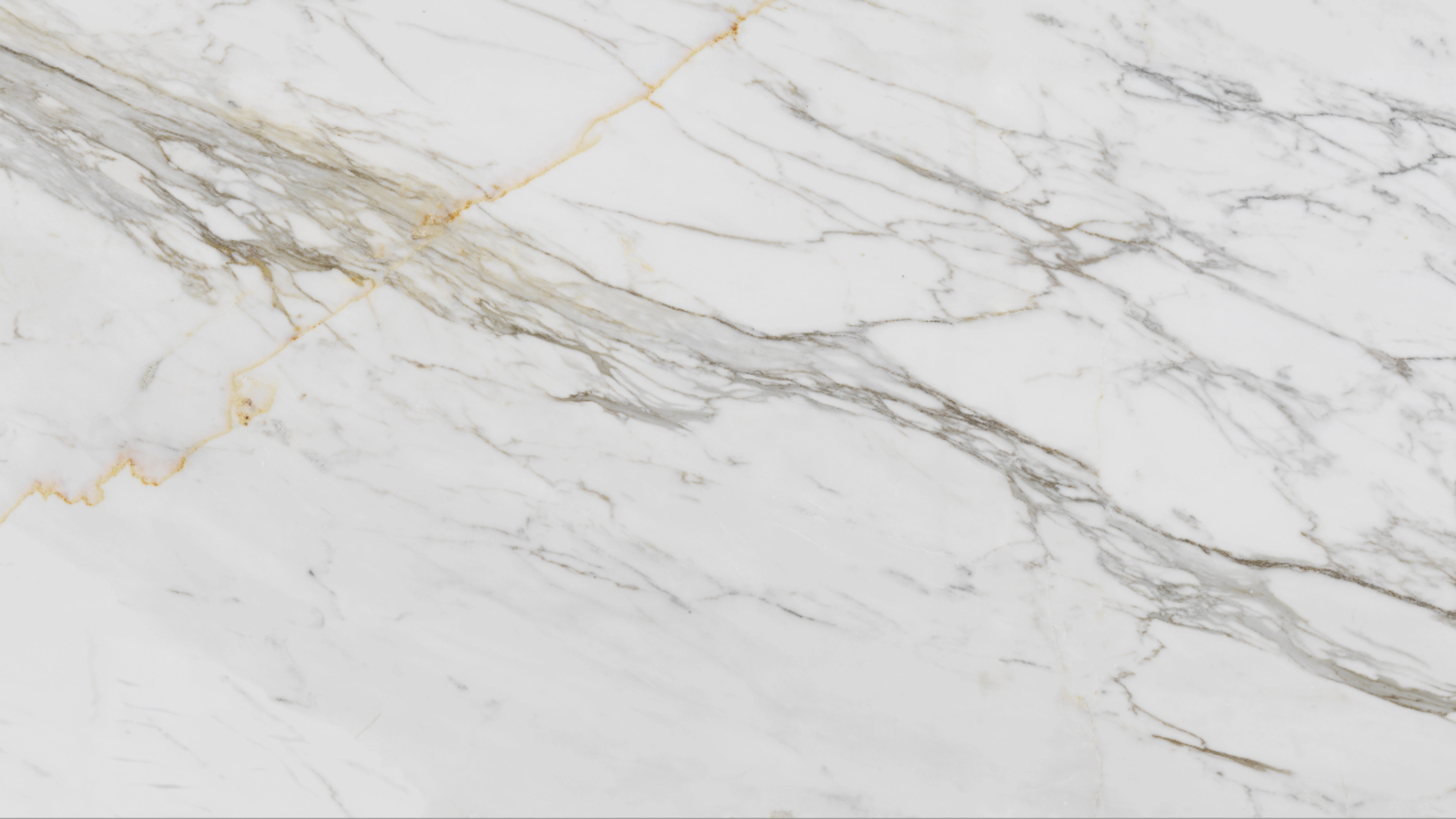Stone Lily (P13) — Eclipse slab