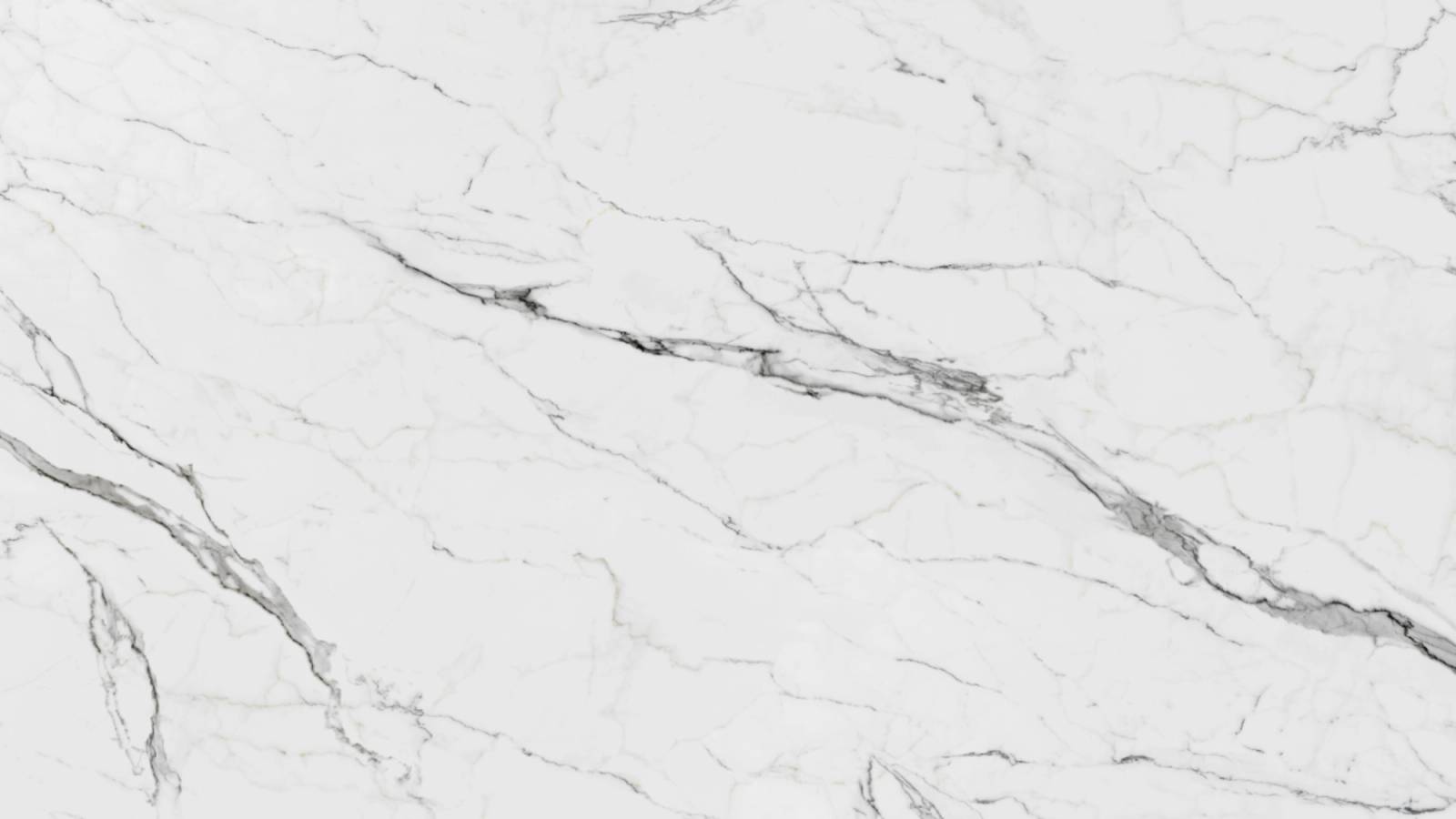 Silver Haven (P17) — Pacific Surfaces Vision