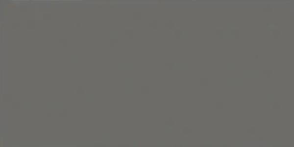 Classic Gray (1005)