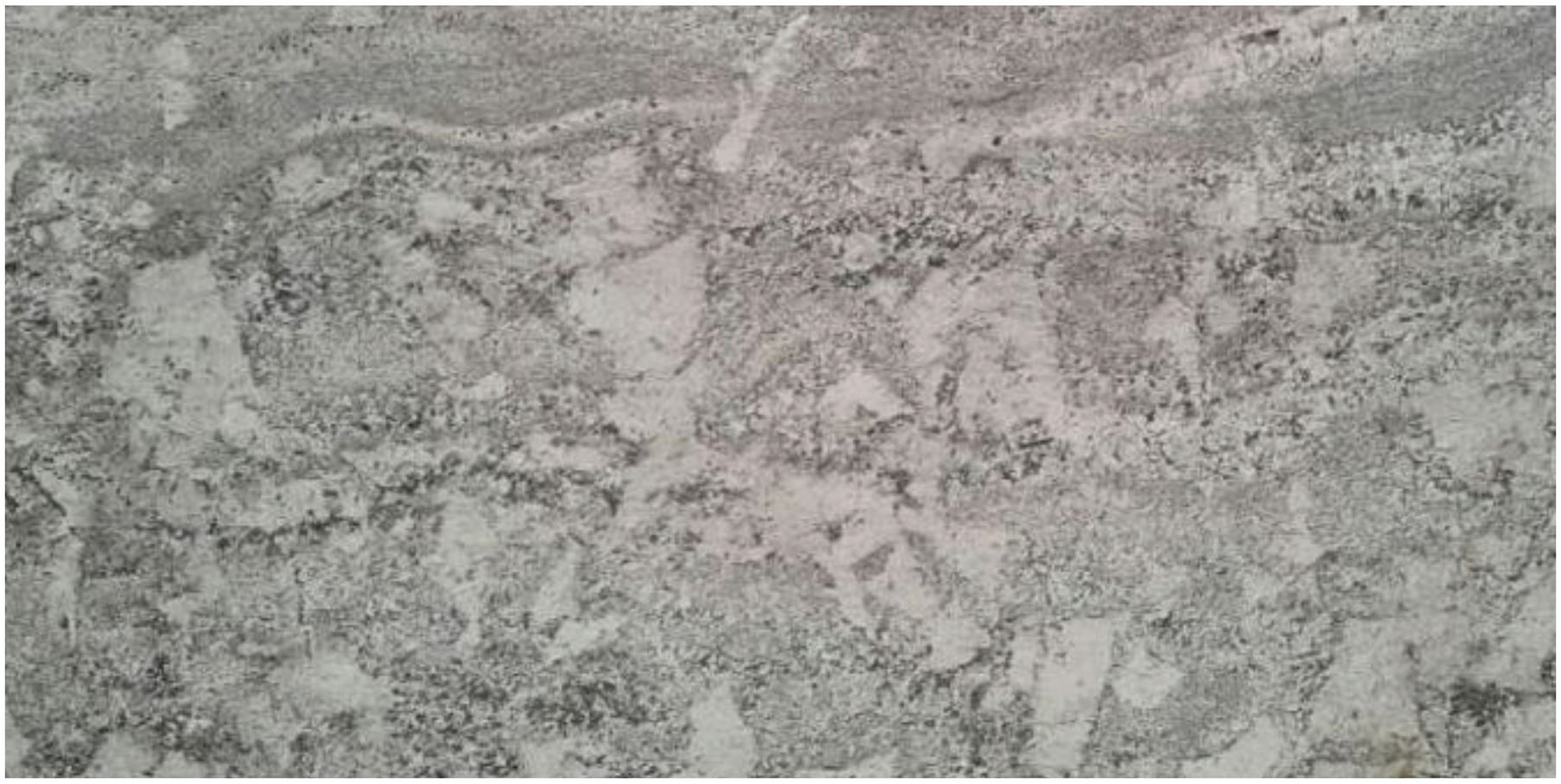 Monte Cristo — Granite slab