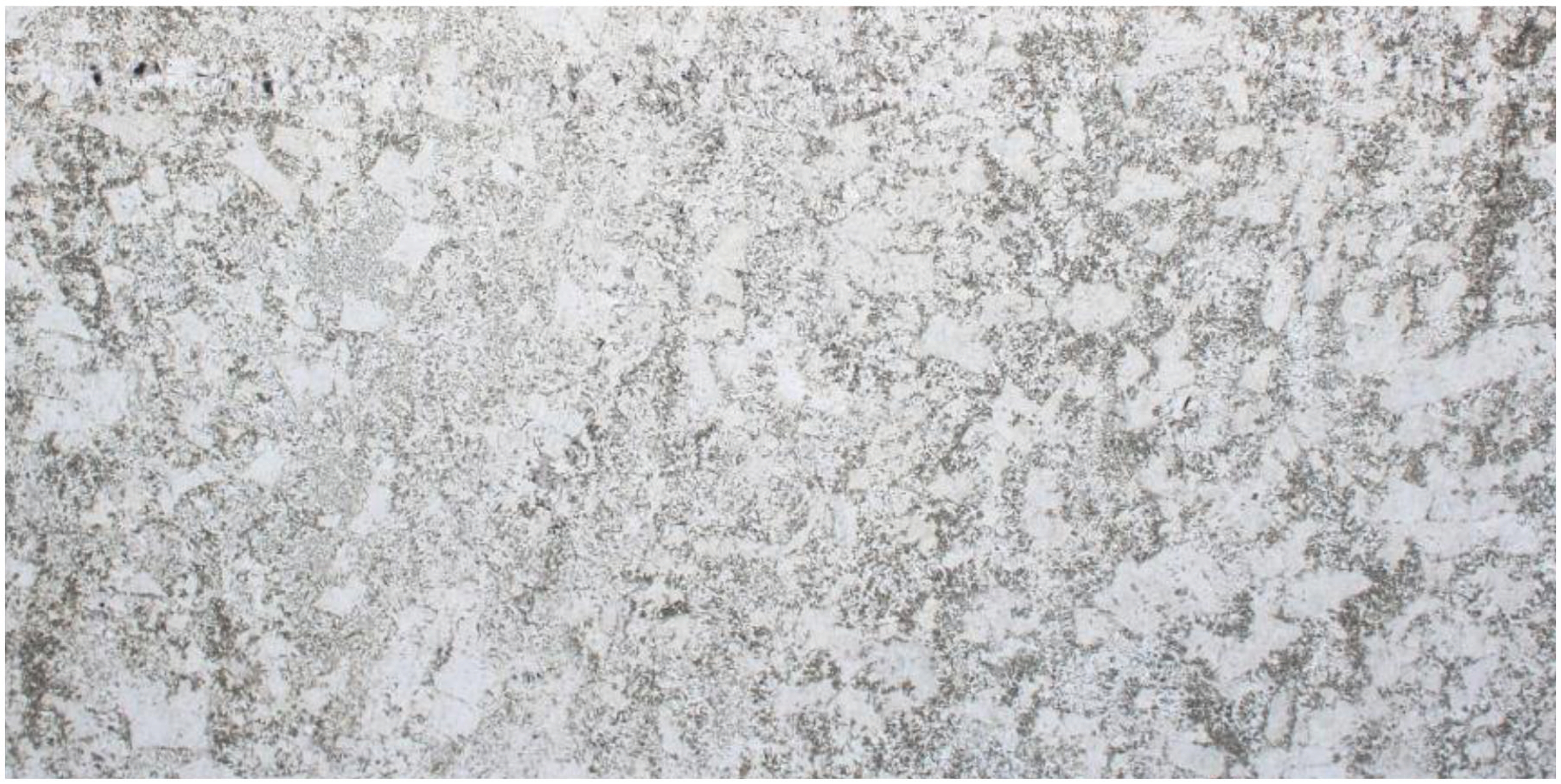 Avian White — Granite slab
