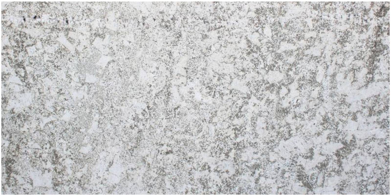 Avian White — Pacific Surfaces Granite